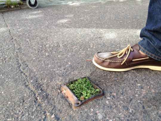 Helsinki's smallest park. A moment of pure joy. No explanation needed and none available.