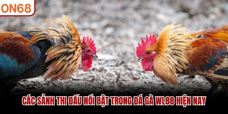 đá gà wl88