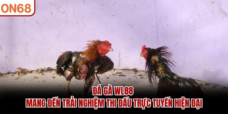 đá gà wl88