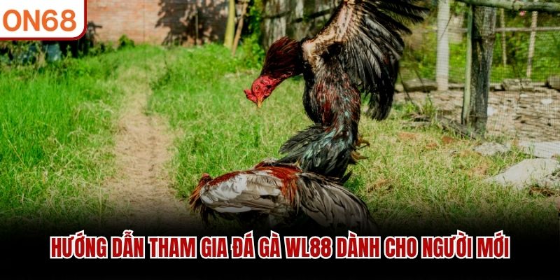đá gà wl88